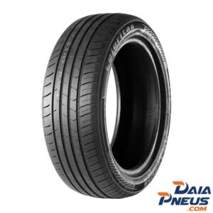 PNEU 205/55R17 95W EXTRA LOAD N-906 CELERITAS ROADBOSS